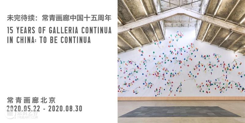 常青画廊弗里兹线上展厅 Frieze Viewing Room 特别呈现「卡斯滕·霍勒 CARSTEN HÖLLER」 常青画廊 CONTINUA 常青画廊 弗里兹 线上 展厅 卡斯滕 霍勒 CARSTEN LLER 艺术家 主题 崇真艺客